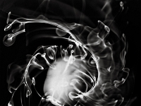 Swirls Whorls and Tendrils